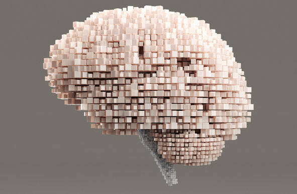 digital brain